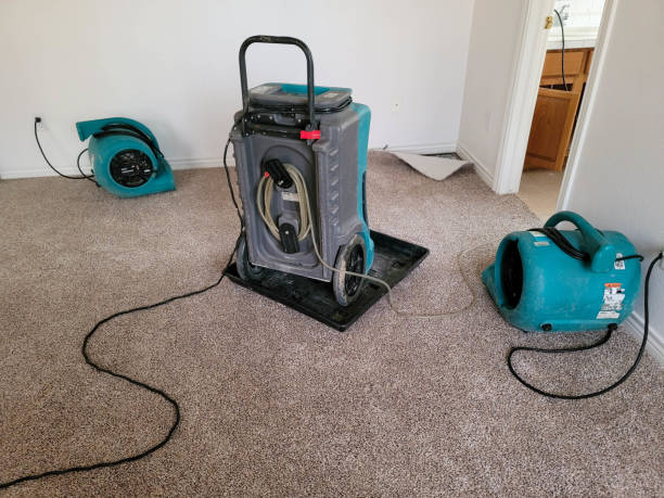 Best Water damage cleanup near me  in Fostoria, OH
