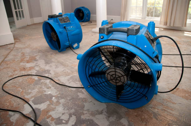 Best Flood damage cleanup  in Fostoria, OH