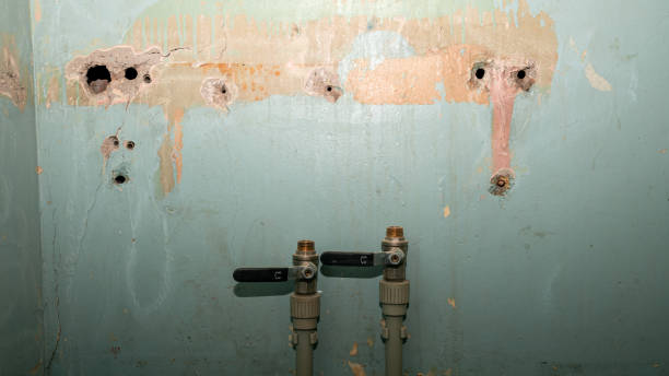 Best Ceiling water damage repair  in Fostoria, OH