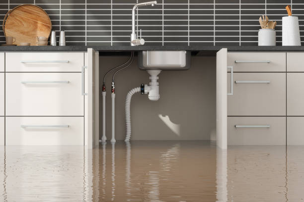 Best 24-hour water damage restoration  in Fostoria, OH