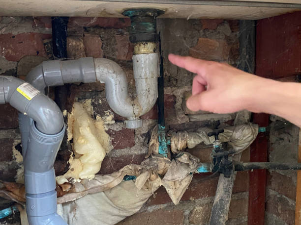 Best Local water damage restoration  in Fostoria, OH