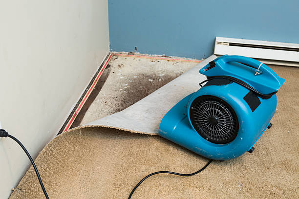 Best Local water damage restoration  in Fostoria, OH